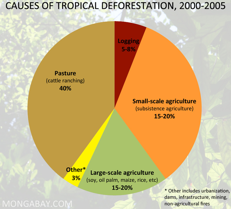 Human Impacts - Tropical Rainforest Biome