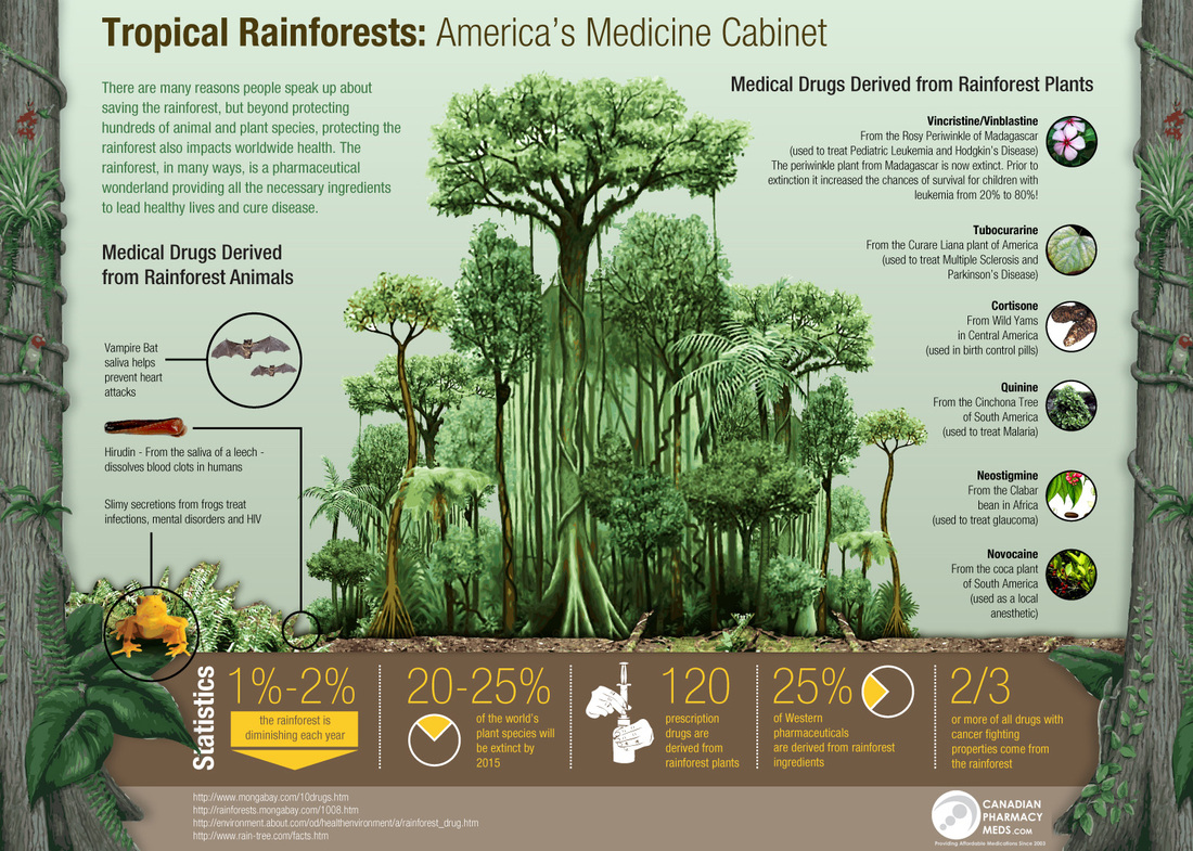 Tropical Rainforest Ecosystem Project